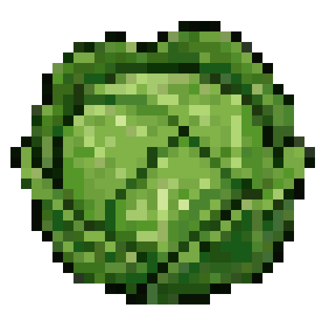 Savoy Cabbage (32x32)